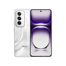 Oppo Reno 12 5G ( Astro Silver,12GB-256GB )