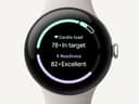 Google Pixel Watch 3 ( Polished Silver,45 mm ) 2
