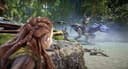 Horizon Forbidden West PS5 5