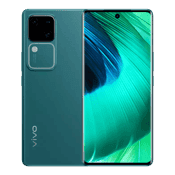 Vivo V30 5G ( Peacock Green,8GB-128GB )